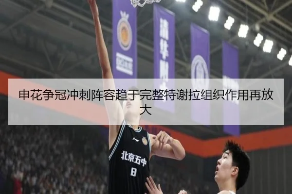 申花争冠冲刺阵容趋于完整特谢拉组织作用再放大 - OUBAOSPORTS